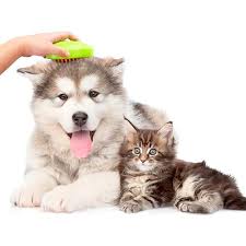 CEPILLO DE VAPOR PARA MASCOTAS | MASAJEADOR Y QUITAPELOS EN 1