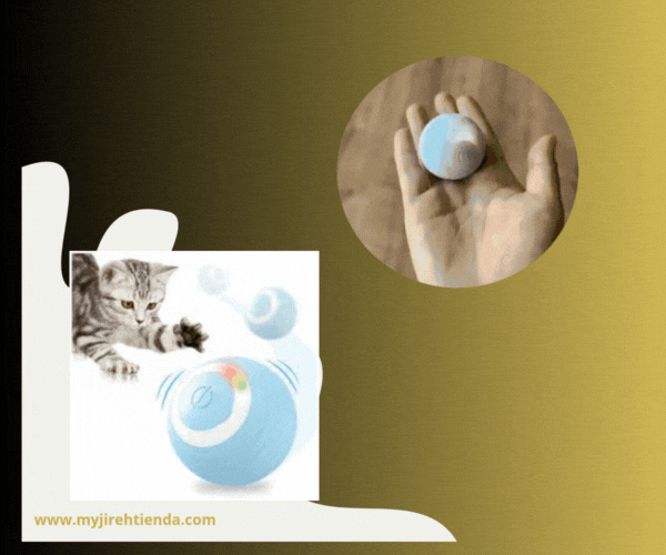 PELOTA AUTOMATICA PARA GATOS | DIVERSION Y EJERCICIOS