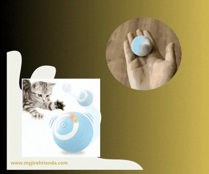 PELOTA AUTOMATICA PARA GATOS | DIVERSION Y EJERCICIOS