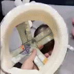 PROTECTOR DE CABEZA PARA BEBES | SEGURIDAD Y COMODIDAD EN CADA PASO